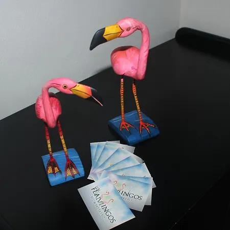 Flamingos 3* La Maddalena (Cagliari)
