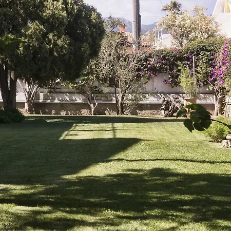 Flamingos La Maddalena (Cagliari)